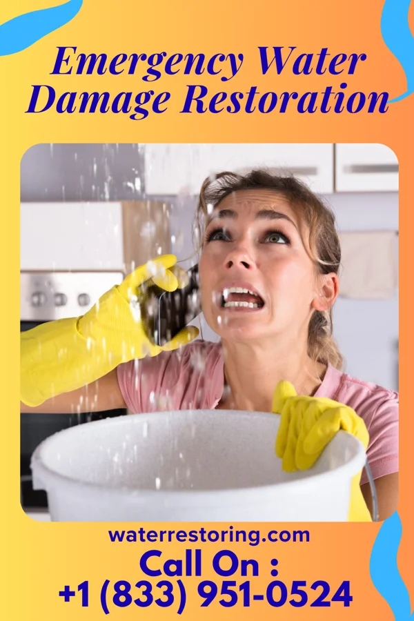 Emergency Water Damage Restoration in Iowa Colony, TX